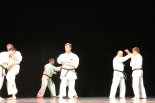▪ Фестиваль боевых искусств Окинавы 13.09-15.09.13 г.